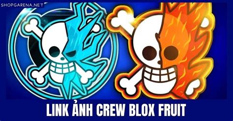 The level capacity was 300. . Blox fruits crew logo link